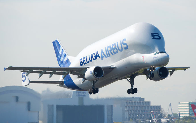 Airbus Beluga Taking Off